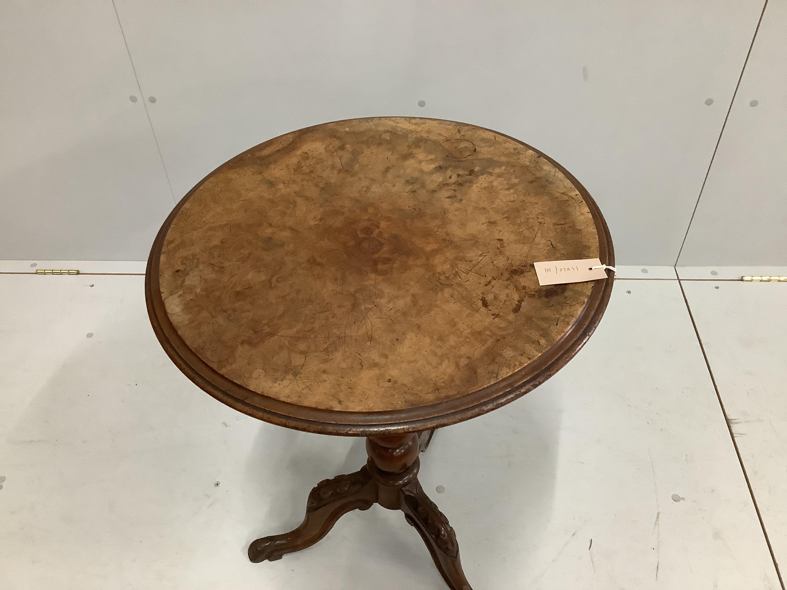 A Victorian circular burr walnut tripod wine table, diameter 52cm, height 71cm